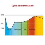 TECHFROST Armoire de fermentation - vue intérieure